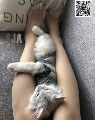 九九这里只有精品视频_高清完整在线观看
