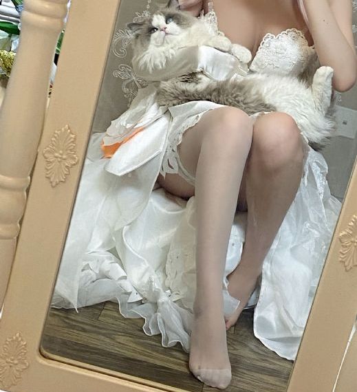 精品一区黄色网站_1080P免费在线观看
