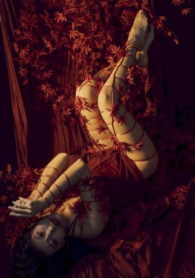 欧美成人免费在线观看_HD视频大全